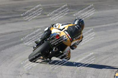 media/Feb-04-2024-SoCal Trackdays (Sun) [[91d6515b1d]]/4-Bowl Backside (11am)/